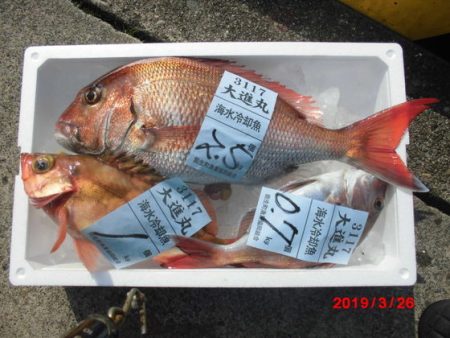 大進丸(新潟) 釣果