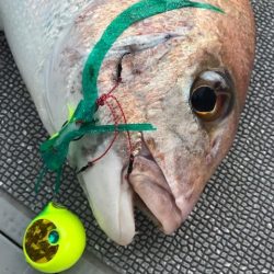 へいみつ丸 釣果