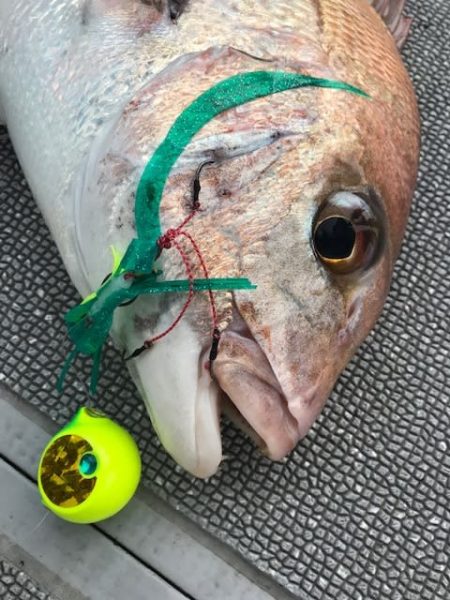 へいみつ丸 釣果