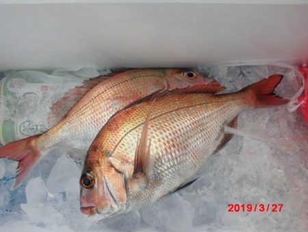 大進丸（新潟） 釣果