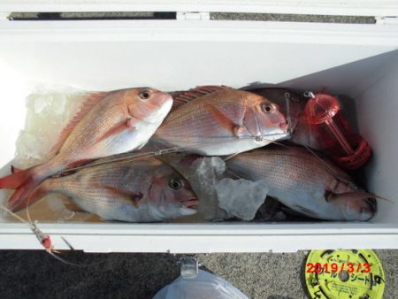 大進丸(新潟) 釣果