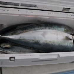八海丸 釣果