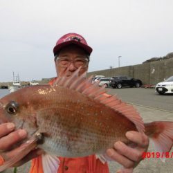 大進丸(新潟) 釣果