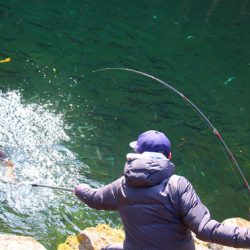 小菅トラウトガーデン 釣果