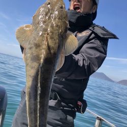 Magic(マジック) 釣果