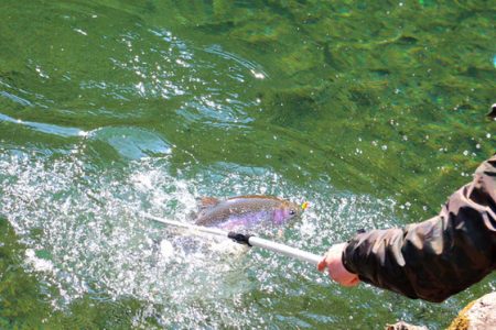 小菅トラウトガーデン 釣果