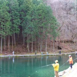 小菅トラウトガーデン 釣果