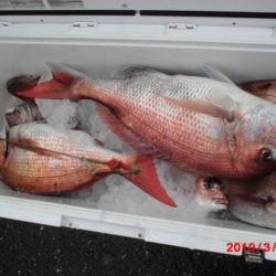 大進丸（新潟） 釣果