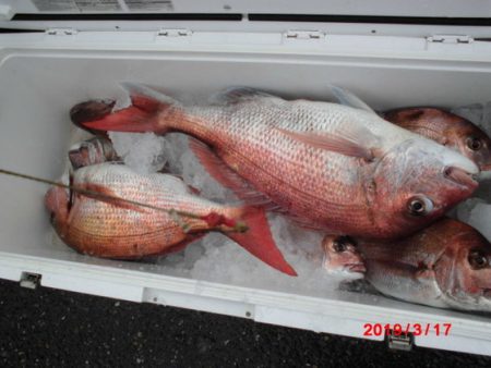 大進丸（新潟） 釣果