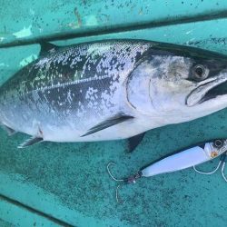広進丸 釣果