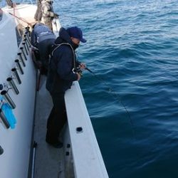 スカイマリン 釣果