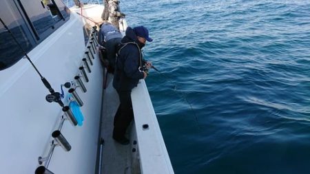 スカイマリン 釣果