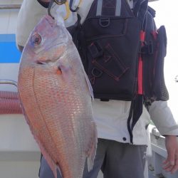 遊漁船 新鋭丸 釣果