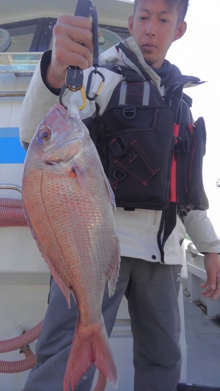 遊漁船 新鋭丸 釣果