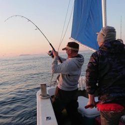 スカイマリン 釣果