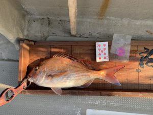 白墨丸 釣果