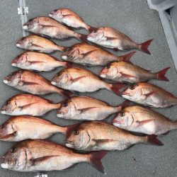 へいみつ丸 釣果