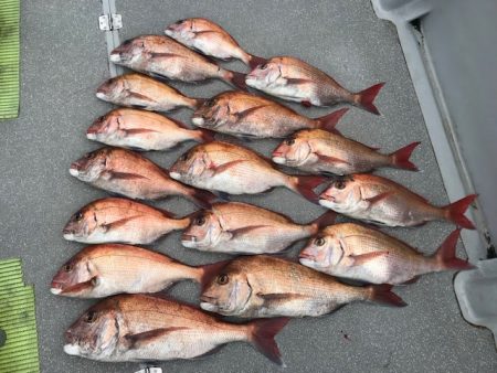 へいみつ丸 釣果