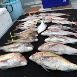 幸風(さちかぜ) 釣果