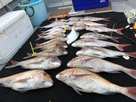 幸風（さちかぜ） 釣果