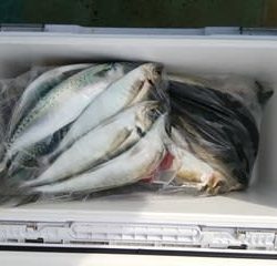 松福丸 釣果