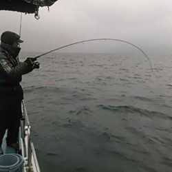 フィッシングガイド りょう 釣果