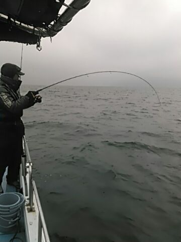 フィッシングガイド りょう 釣果