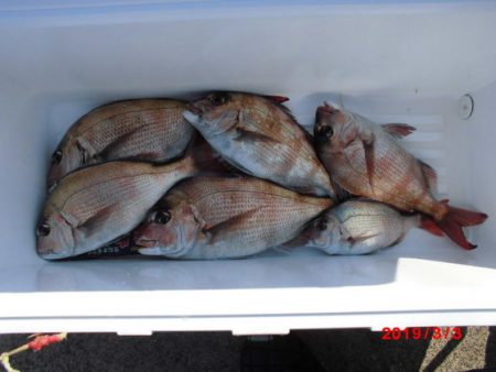 大進丸（新潟） 釣果