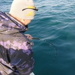 スカイマリン 釣果