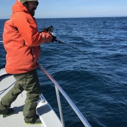 へいみつ丸 釣果