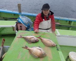 久里浜黒川本家 釣果