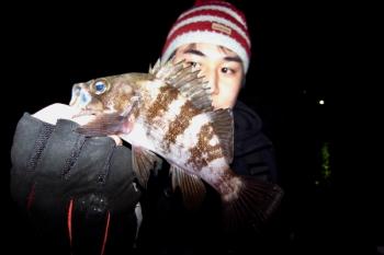 シーマジカル 釣果