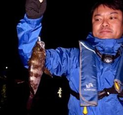 シーマジカル 釣果