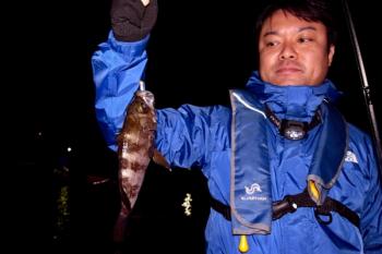 シーマジカル 釣果