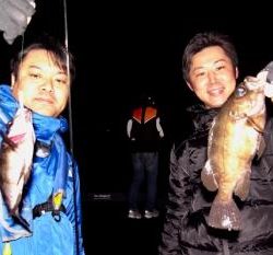 シーマジカル 釣果