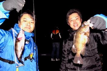 シーマジカル 釣果