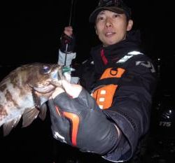 シーマジカル 釣果