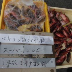 まとばや 釣果