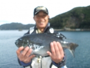 春日丸 釣果