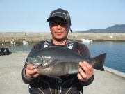 春日丸 釣果