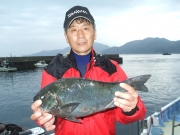 春日丸 釣果