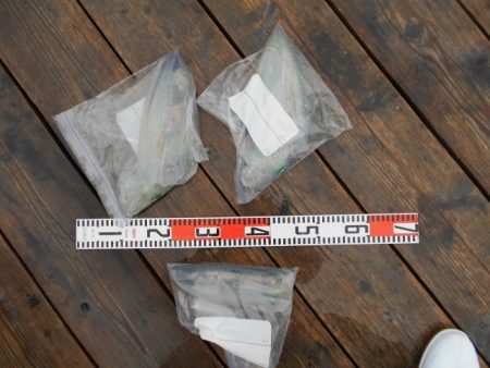 こかわ渡船　雅丸 釣果