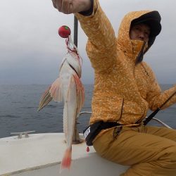 フィッシングボート空風(そらかぜ) 釣果