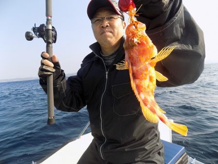 フィッシングボート空風(そらかぜ) 釣果