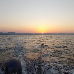 フィッシングボート空風(そらかぜ) 釣果