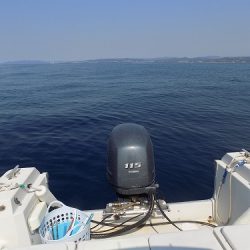 フィッシングボート空風(そらかぜ) 釣果