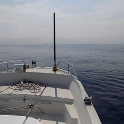 フィッシングボート空風(そらかぜ) 釣果