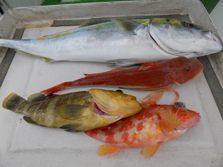 フィッシングボート空風（そらかぜ） 釣果