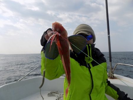 フィッシングボート空風（そらかぜ） 釣果