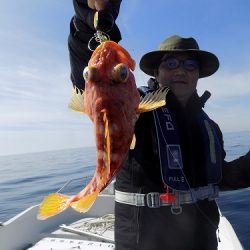 フィッシングボート空風（そらかぜ） 釣果